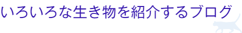 いろんな生き物を紹介するブログ